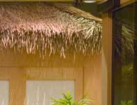 Santa Barbara DaySpa